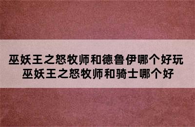 巫妖王之怒牧师和德鲁伊哪个好玩 巫妖王之怒牧师和骑士哪个好